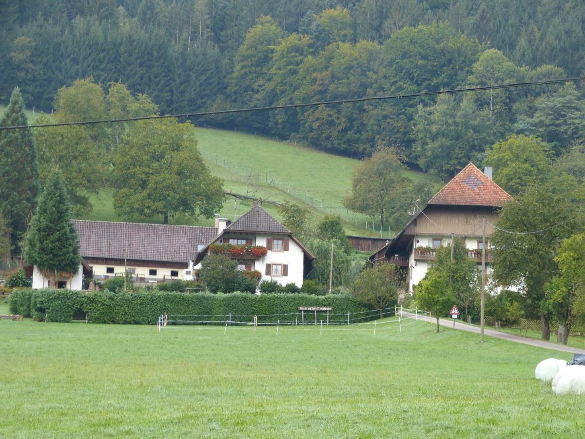 Kempfenhof Seelbach (Baden-Wurttemberg) Exterior foto